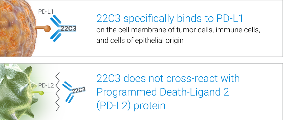 PD-L1 IHC 22C3 pharmDx delivers high specificity
